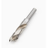 3/4" HSS Lipped Brad-Point Drill - 07J02.48