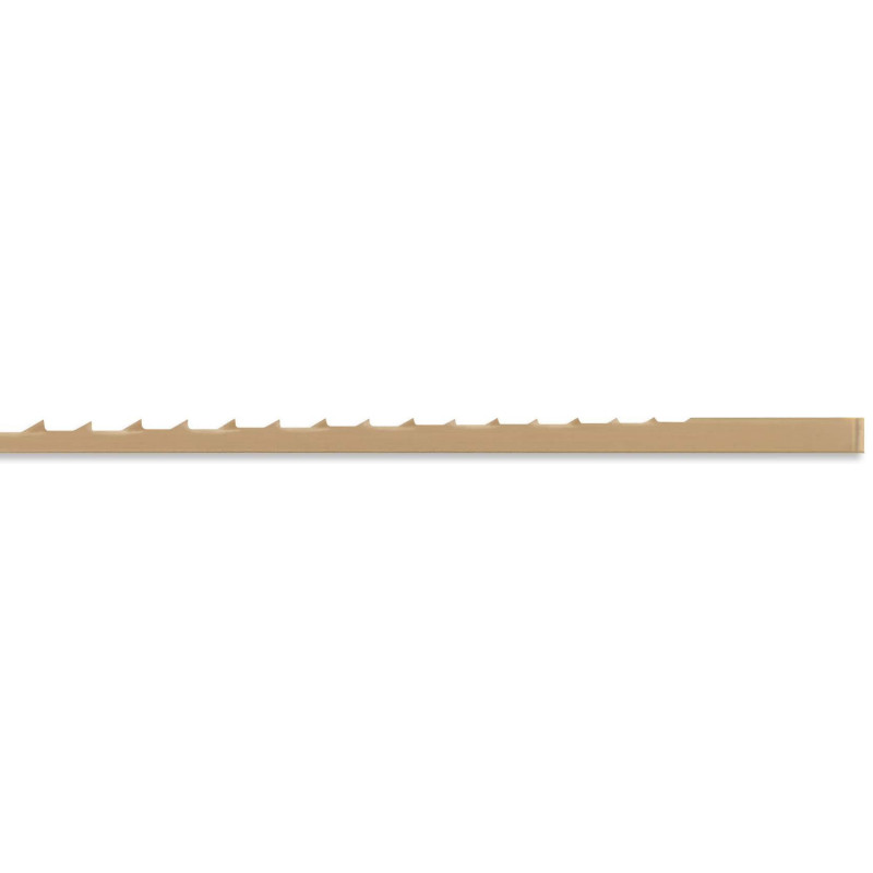 SKIP PROGRESSIVE MEDIUM 5