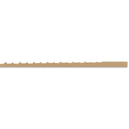 SKIP PROGRESSIVE MEDIUM 5