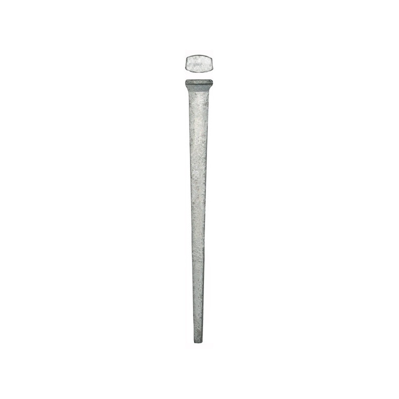 Common  2-1/2" Hot-dip galvanized