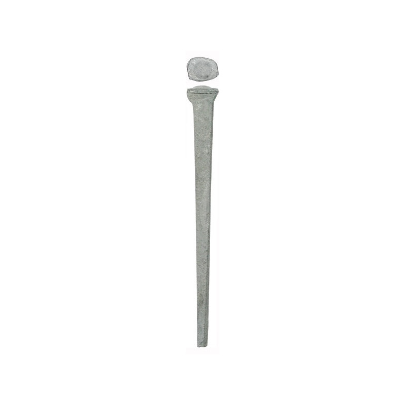 Common rosehead  4" Hot-dip galvanized