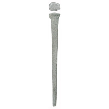 Common rosehead  4" Hot-dip galvanized