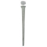 Common rosehead  4" Hot-dip galvanized