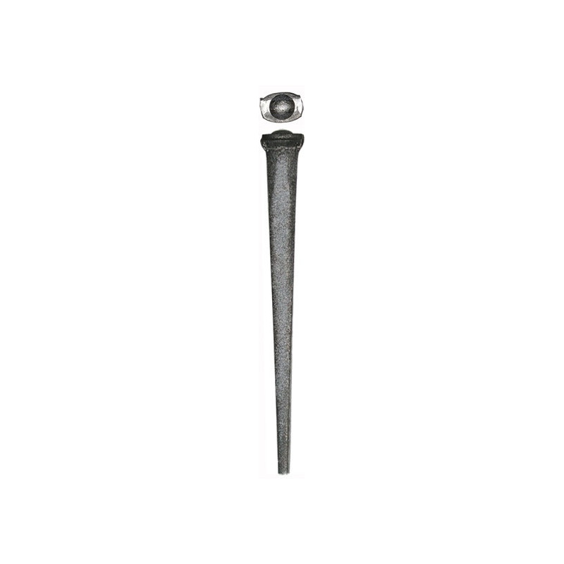 Common rosehead  2" Standard
