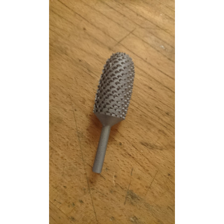 Rotative rasp diameter 15 mm