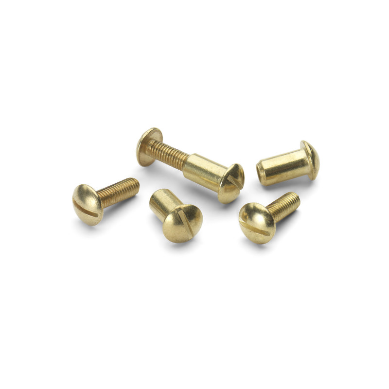Brass Plated Screws And Caps