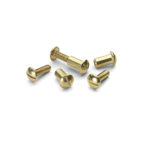 Brass Plated Screws And Caps