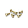 Brass Plated Screws And Caps