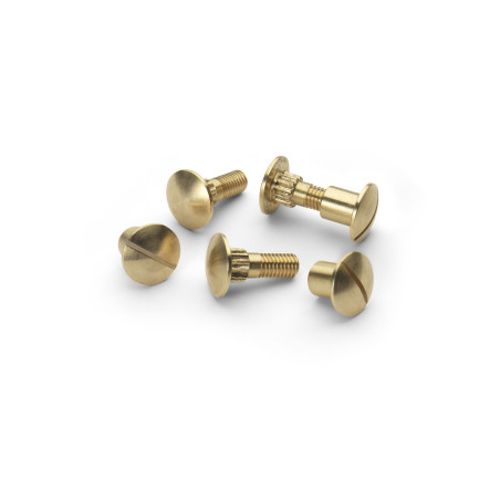 Dome Head Brass Screws And Caps