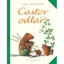 Castor odlar