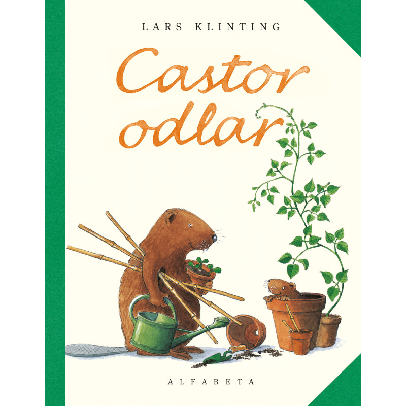 Castor odlar
