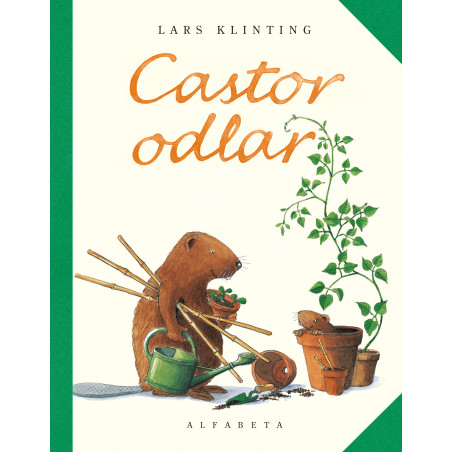 Castor odlar