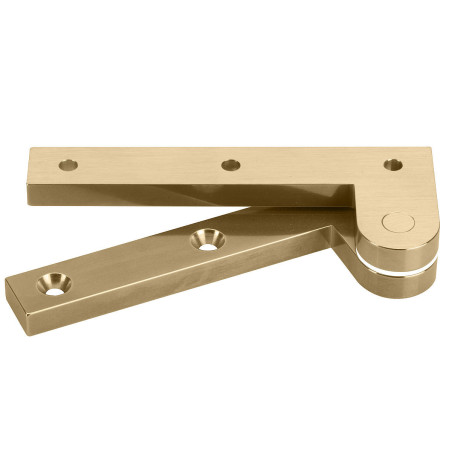 L-19 pivot hinge