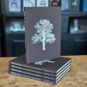 With the Grain: A Craftsman’s Guide to Understanding Wood