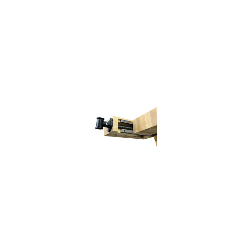 Lie-Nielsen Tail Vise