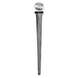 Tremont klippt råspontspik 2 1/2 (64 mm)