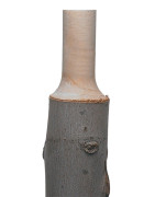 Veritas Power Tenon Cutters